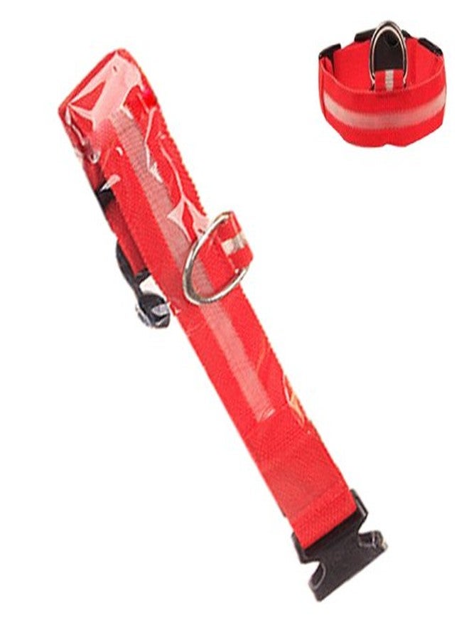 Futaba Nylon Pet Glow in Dark LED Collar Night Safety - Red -Small - Image 4